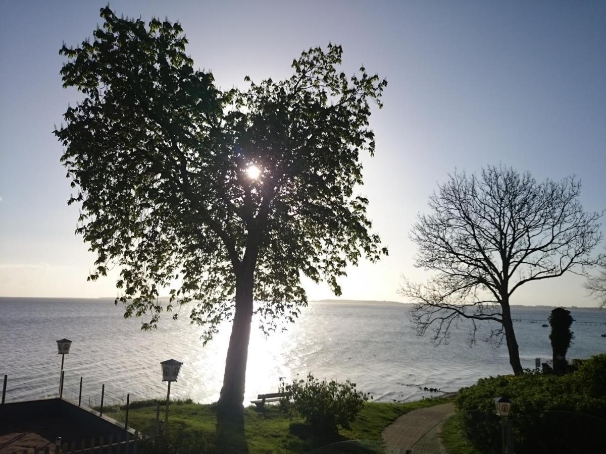 Strandappartement Steinberghaff "Farborg" Mit Meerblick Steinberg  Eksteriør billede